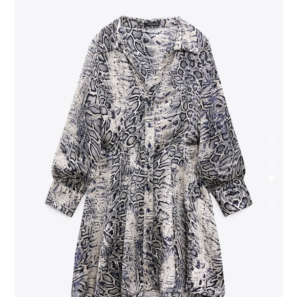 ZARA PRINT DRESS
